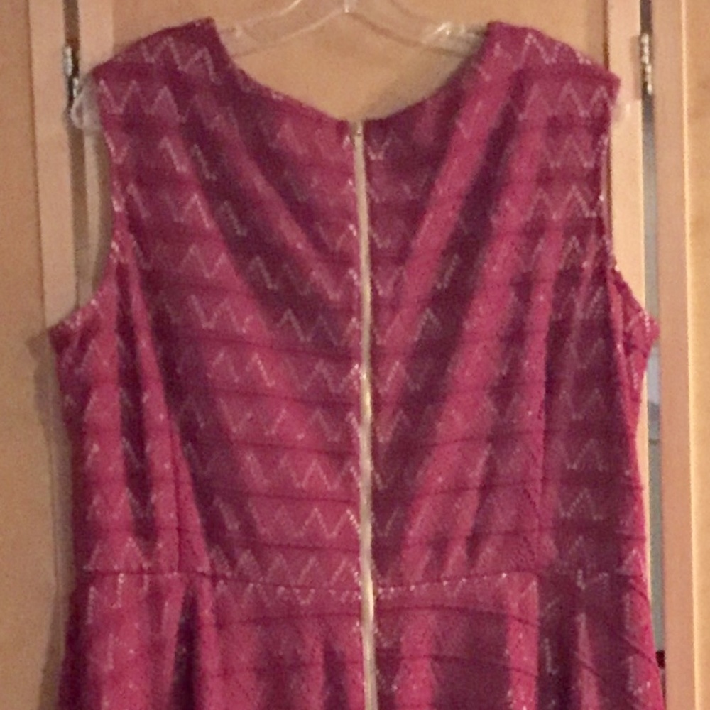 Lace Overlay Sleeveless Roz & Ali Dress - Picture 5 of 6